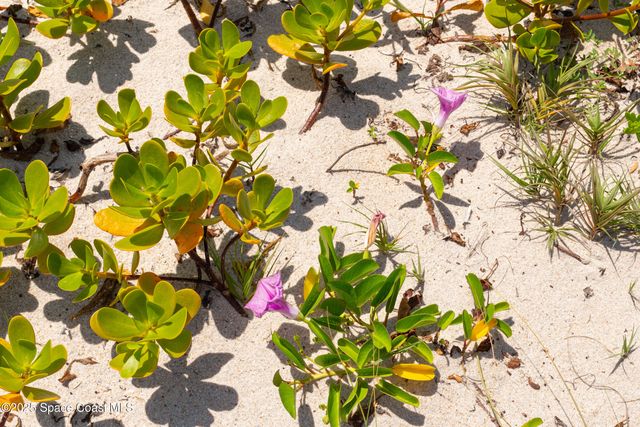 5635 Highway A1a A701, Melbourne Beach, FL 32951