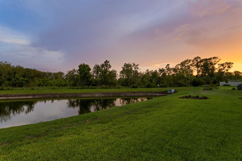 Image 54 of property listing at 3559 MAPLE BAY LANE, Land O Lakes, FL 34638