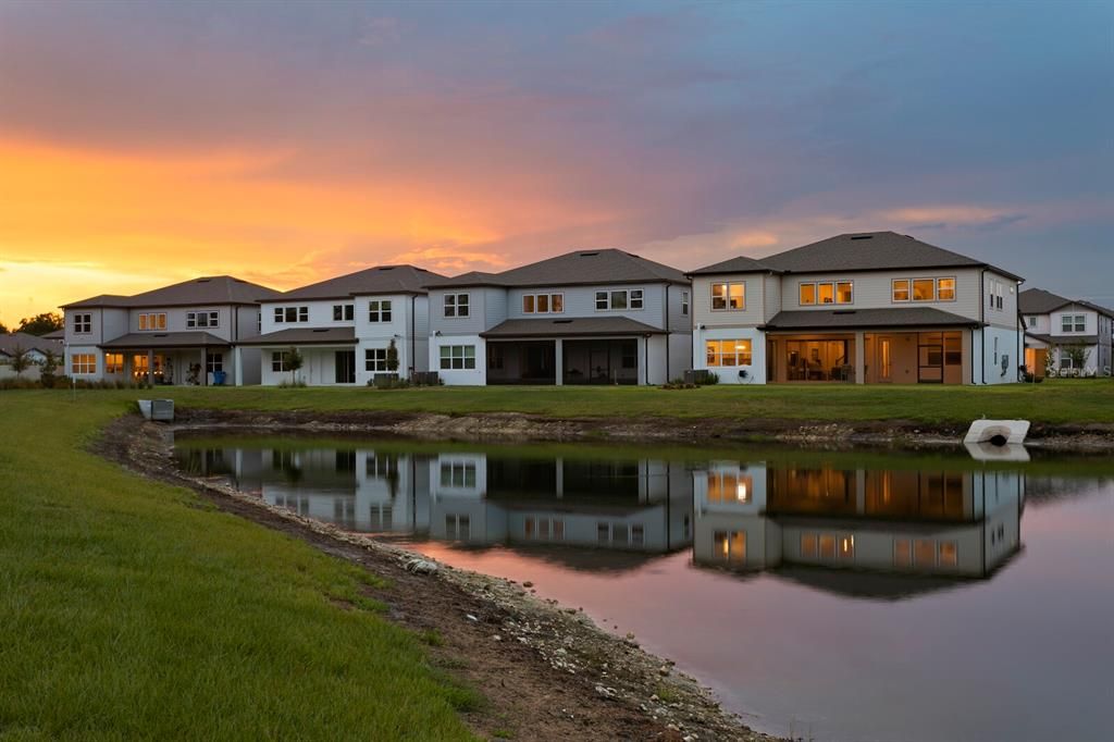 Image 69 of property listing at 3559 MAPLE BAY LANE, Land O Lakes, FL 34638