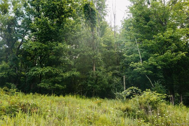 92 Restorative Lane, Middletown, NY 10940