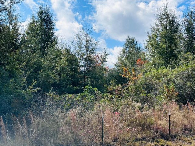 0 NW 126 STREET, Chiefland, FL 32626