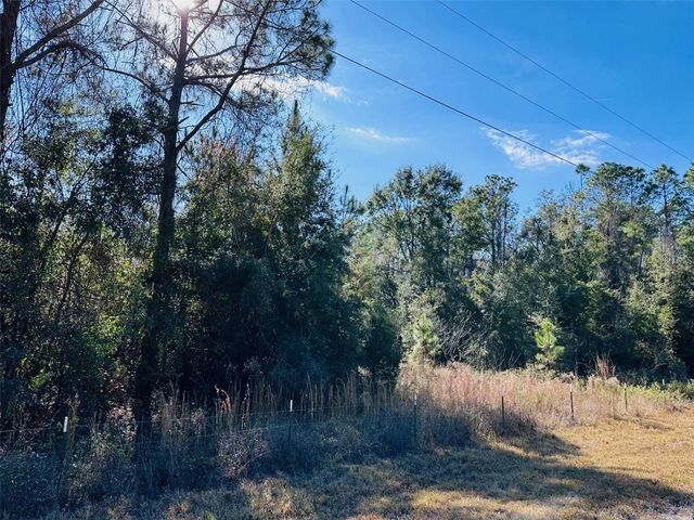 0 NW 126 STREET, Chiefland, FL 32626