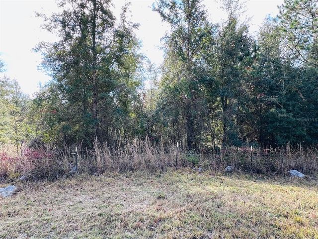 0 NW 126 STREET, Chiefland, FL 32626