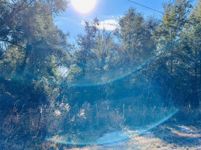 0 NW 126 STREET, Chiefland, FL 32626