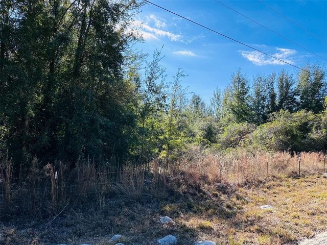 0 NW 126 STREET, Chiefland, FL 32626