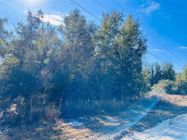 0 NW 126 STREET, Chiefland, FL 32626