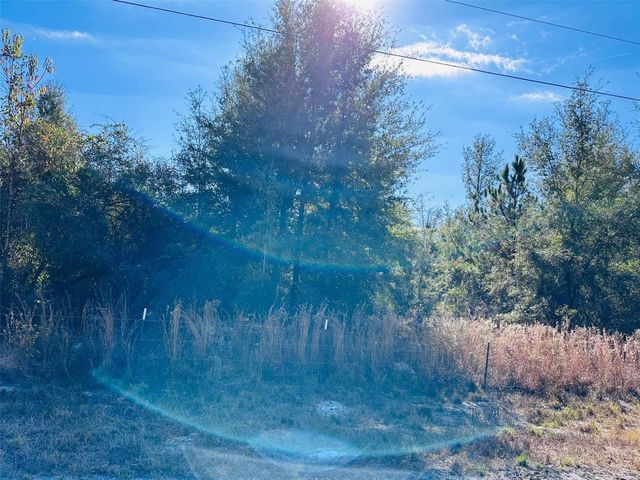 0 NW 126 STREET, Chiefland, FL 32626