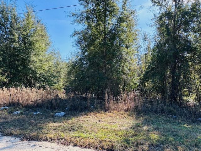 0 NW 126 STREET, Chiefland, FL 32626
