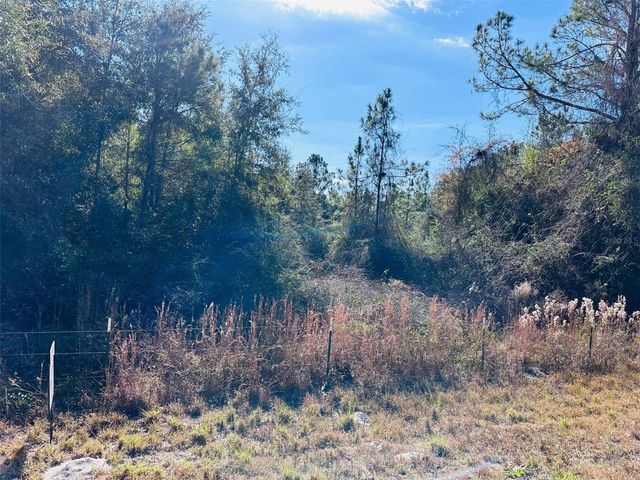 0 NW 126 STREET, Chiefland, FL 32626