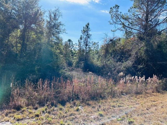0 NW 126 STREET, Chiefland, FL 32626