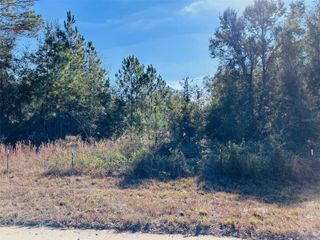 0 NW 126 STREET, Chiefland, FL 32626