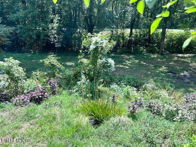 116 Spencer Drive, Harriman, TN 37748