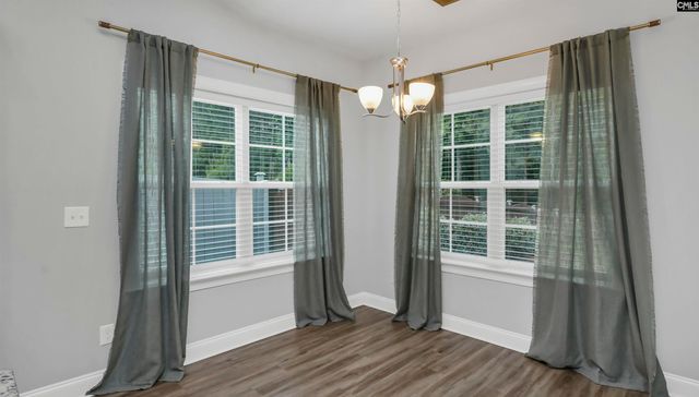 482 Malachite Lane, Chapin, SC 29036