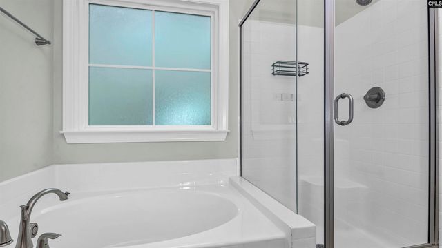 482 Malachite Lane, Chapin, SC 29036