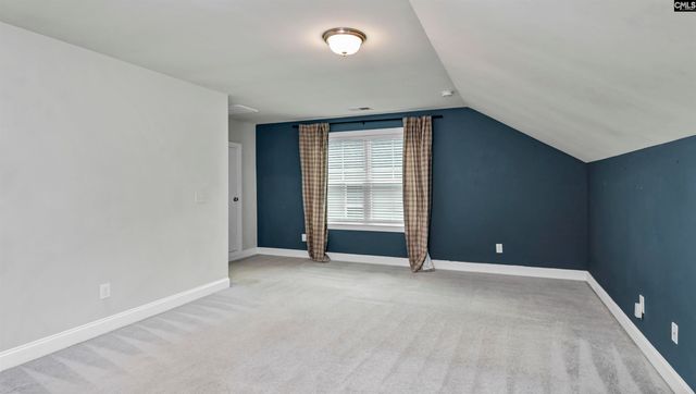 482 Malachite Lane, Chapin, SC 29036