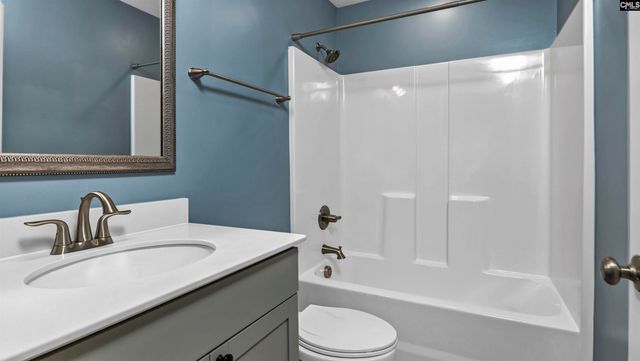 482 Malachite Lane, Chapin, SC 29036