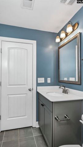 482 Malachite Lane, Chapin, SC 29036