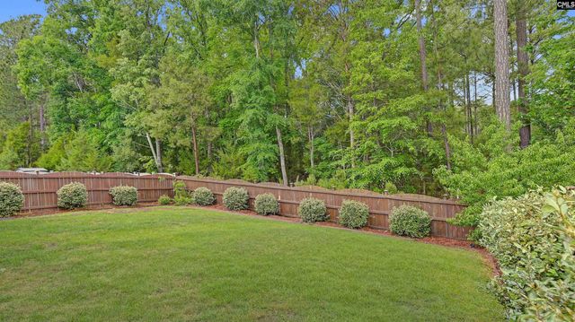 482 Malachite Lane, Chapin, SC 29036