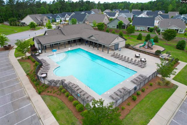 482 Malachite Lane, Chapin, SC 29036