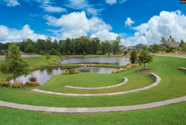 482 Malachite Lane, Chapin, SC 29036