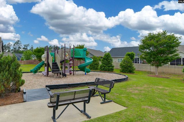 482 Malachite Lane, Chapin, SC 29036
