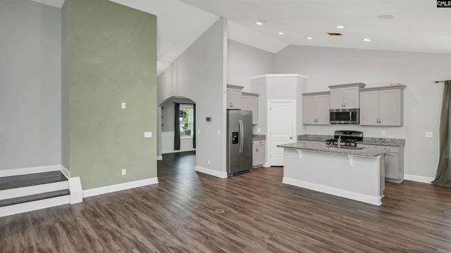 482 Malachite Lane, Chapin, SC 29036