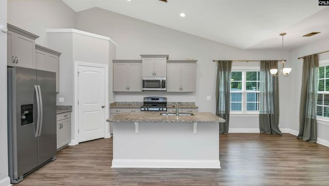 482 Malachite Lane, Chapin, SC 29036