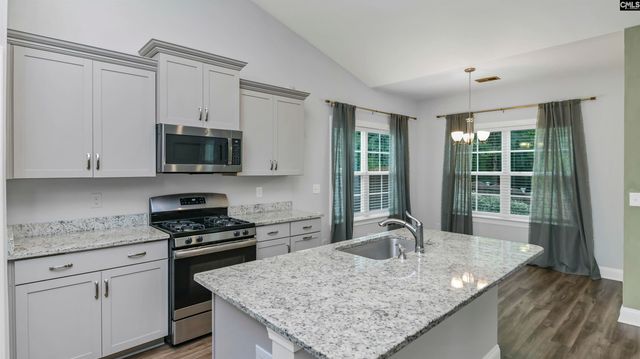 482 Malachite Lane, Chapin, SC 29036