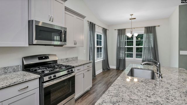 482 Malachite Lane, Chapin, SC 29036