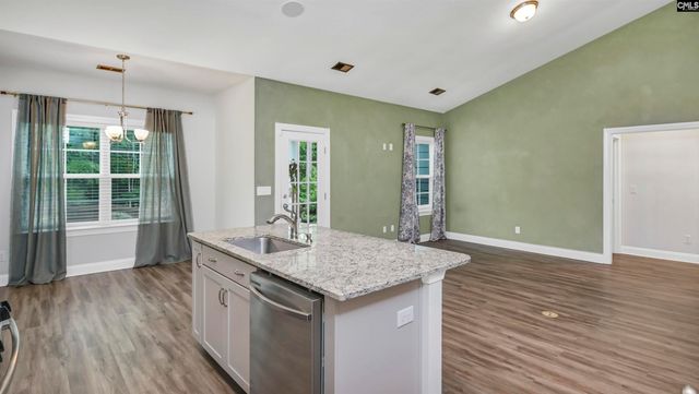 482 Malachite Lane, Chapin, SC 29036