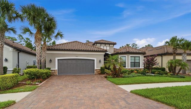 20117 UMBRIA HILL DRIVE, Tampa, FL 33647
