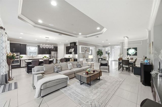 20117 UMBRIA HILL DRIVE, Tampa, FL 33647