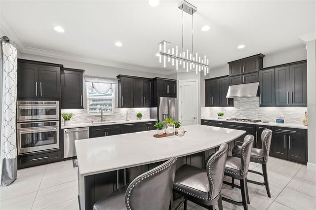 20117 UMBRIA HILL DRIVE, Tampa, FL 33647