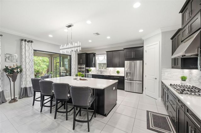 20117 UMBRIA HILL DRIVE, Tampa, FL 33647
