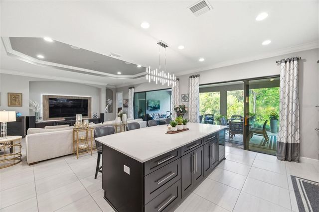 20117 UMBRIA HILL DRIVE, Tampa, FL 33647