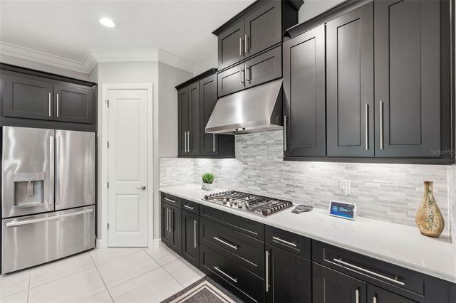 20117 UMBRIA HILL DRIVE, Tampa, FL 33647