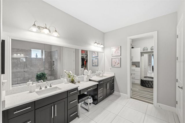 20117 UMBRIA HILL DRIVE, Tampa, FL 33647