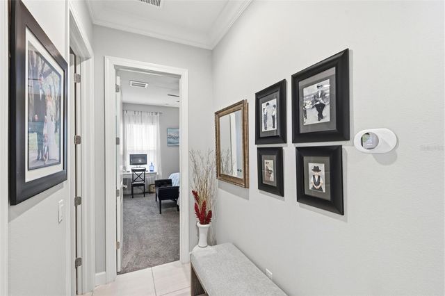 20117 UMBRIA HILL DRIVE, Tampa, FL 33647