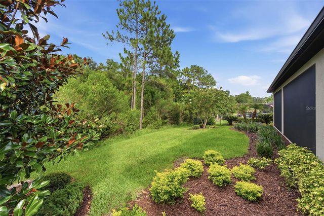 20117 UMBRIA HILL DRIVE, Tampa, FL 33647
