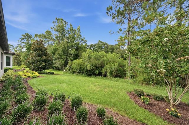 20117 UMBRIA HILL DRIVE, Tampa, FL 33647