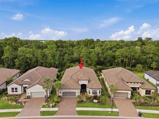 20117 UMBRIA HILL DRIVE, Tampa, FL 33647