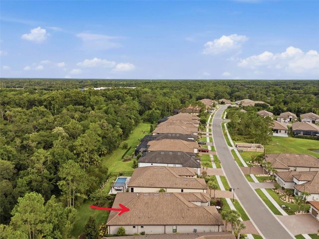 20117 UMBRIA HILL DRIVE, Tampa, FL 33647