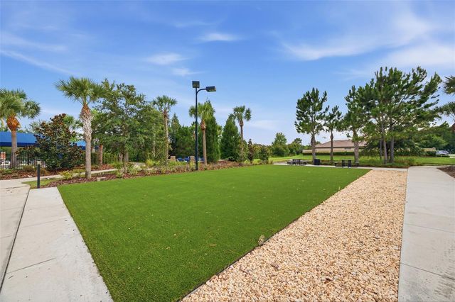 20117 UMBRIA HILL DRIVE, Tampa, FL 33647