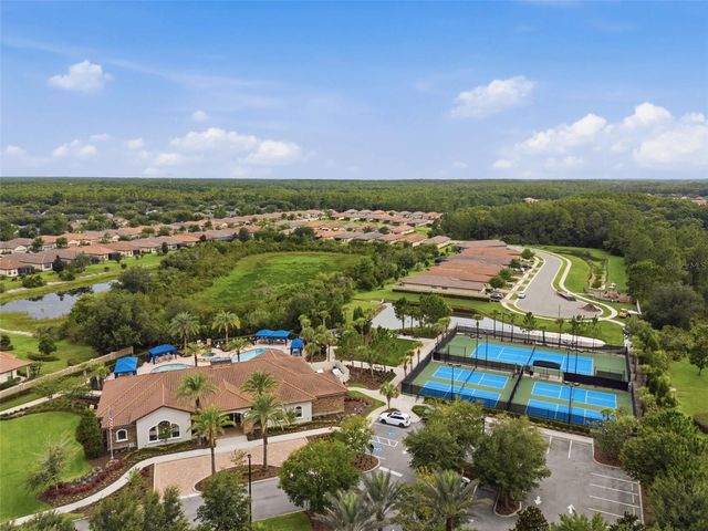 20117 UMBRIA HILL DRIVE, Tampa, FL 33647
