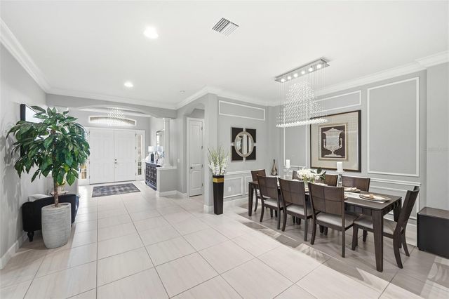20117 UMBRIA HILL DRIVE, Tampa, FL 33647