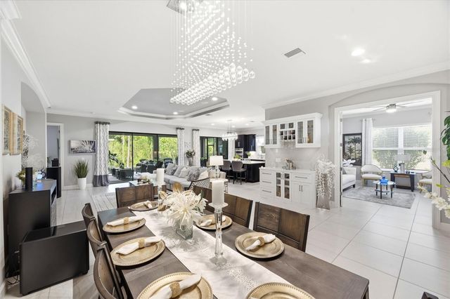 20117 UMBRIA HILL DRIVE, Tampa, FL 33647