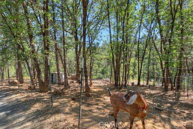 12896 Rices Crossing Road, Oregon House, CA 95962