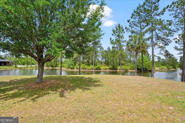 252 Big Horse Drive, Waynesville, GA 31566