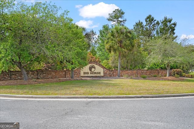 252 Big Horse Drive, Waynesville, GA 31566