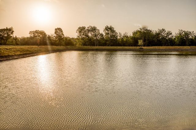 14804 Childress Ranch Dr, Washington, TX 77880